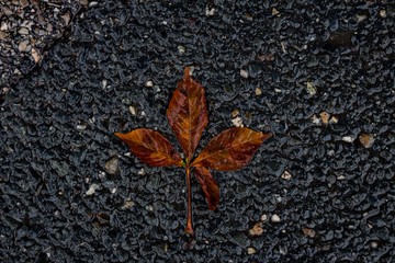 Composition