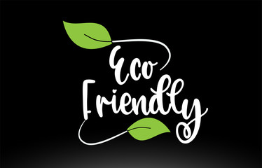 Eco Friendly word text with green leaf logo icon design