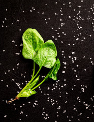 A branch of fresh spinach with sea salt crystals on a black background