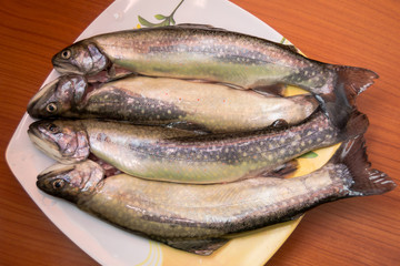 fresh trout on the plate