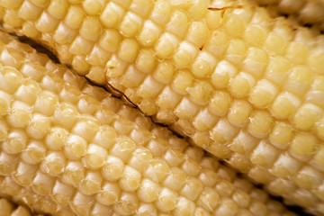Fresh young baby corn macro background