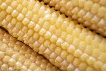 Fresh young baby corn macro background