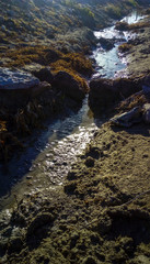 Paisaje acuático con cascada y arroyo