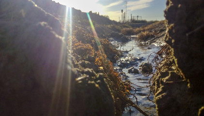 Paisaje acuático riachuelo 