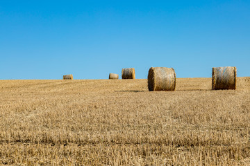 Hay bales in a Ploughed Field in Sussex, on a Sunny Summers Evening