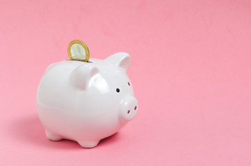 Coin falls into pink, porcelain piggy Bank on pink background.