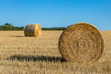 Hay bales in a Ploughed Field in Sussex, on a Sunny Summers Evening