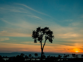 Fototapeta na wymiar Hawaiian Sunset 