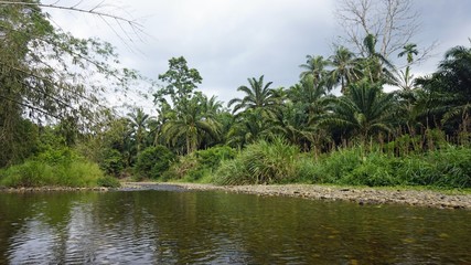 rafting tour on sok river in thailand