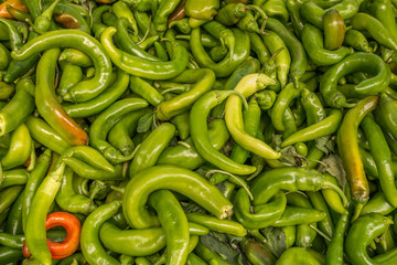 fresh green and red hot pepper at the market