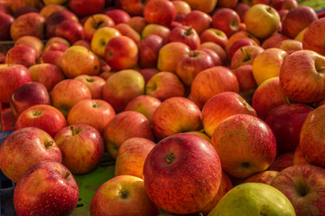 Fototapeta na wymiar fresh red apples at the market