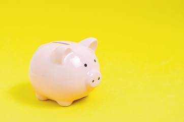 Pink piggy bank on pink background. Money and business.