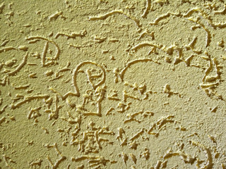 The texture of the stone wall painted with dry yellow plaster.