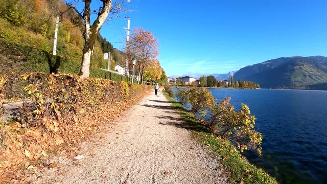 young man walking his dog on the shore of a zell lake