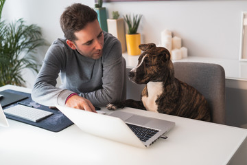 Freelancer man working from home with his dog sitting together in the office