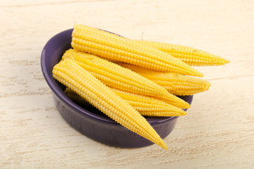 Young baby corn