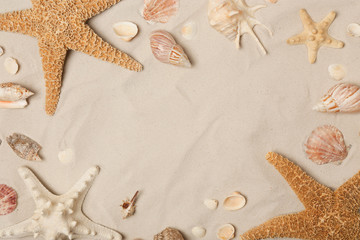 Fototapeta na wymiar Frame made of seashells and starfishes on beach sand, top view with space for text