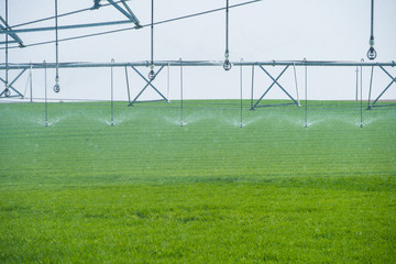 Center Pivot Irrigation System in a green Field