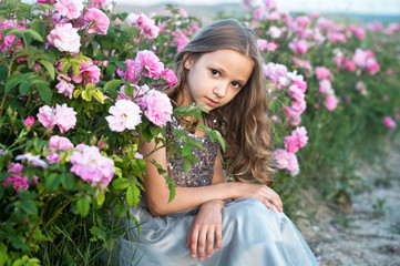 Beautiful girl  in grey dress collect roses in Bulgaria in sunrise.