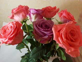 bouquet of red roses