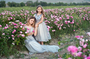 Beautiful sisters in grey dresses collect roses in Bulgaria in sunrise.