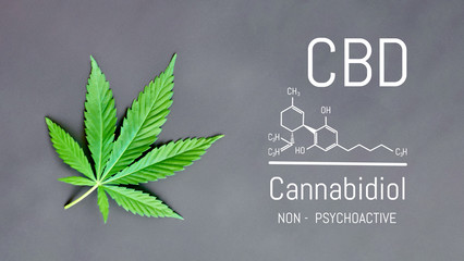 CBD Cannabis Formula. Structural model of cannabidiol and tetrahydrocannabinol molecule. Medicinal...