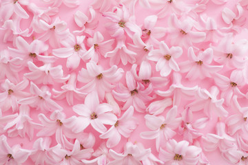 Pile of spring hyacinth flowers on color background, closeup