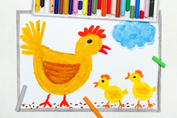 Colorful drawing:  brooding hen and three little chickens