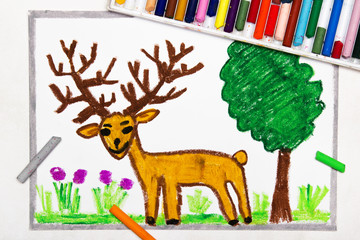 Colorful drawing: cute brown deer with big deer horns