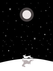 Running hare at night