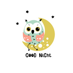 Cute owl sitting on moon 