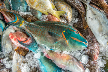 L'étal du poissonnier