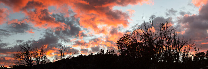 Fototapeta na wymiar Sunset Panorama
