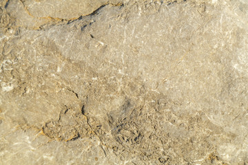 Fragment of a rock close up. Texture.