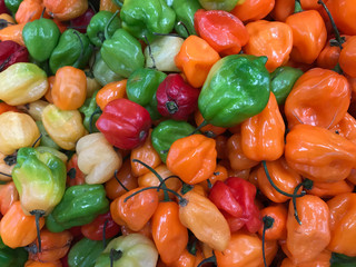 Chiles habaneros textura