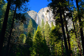 Yosemite Falls