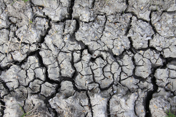 Close-up of cracked mud after a long hot summer
