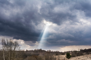 Naklejka na ściany i meble a ray of light from the clouds, early spring nature