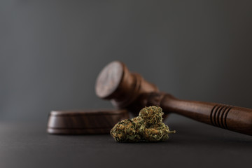 Cannabis und Richterhammer Nahaufnahme grauer Hintergrund 