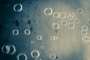 Beautiful blur colorful blue bubble background texture and wallpaper