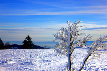 le hohneck sous la neige en plein hiver dans les vosges