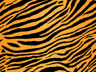Search photos tiger