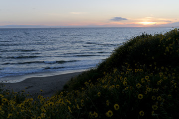 Rincon Beach Park in Carpenteria, California