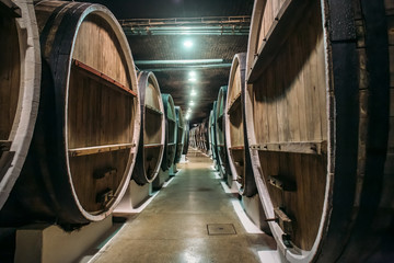 Underground wine cellar with rows of old big wooden barrels in winery, industrial underground...