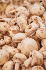 fresh mushrooms on wooden background