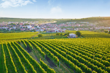 Fototapeta na wymiar Beautiful sunrise over the picturesque village Velke Pavlovice and nearby vineyards, southern Moravia, Czech Republic.