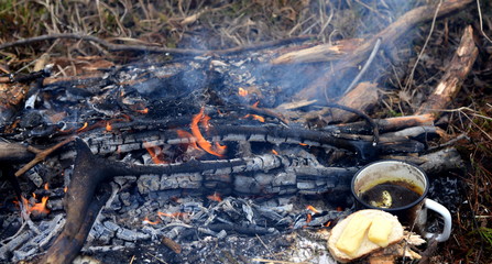 food on a fire in the forest