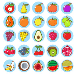Fruit icon collection