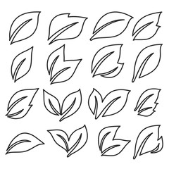 Natural leaf line icons. Young leaves of plants, forest tree oak, elm and ash leafs and eco greens fertilizer or autumn fall, garden vector outline pictogram isolated symbol set