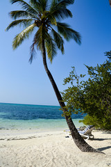 Beautiful tropical Maldives resort hotel and island with beach and sea on sky for holiday vacation...
